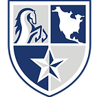 North American University