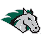 Stevenson University