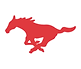 Munster High School