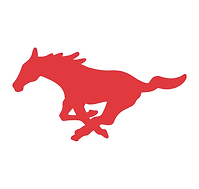 Munster High School
