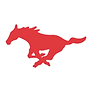 Munster High School