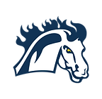 Mount Mercy University